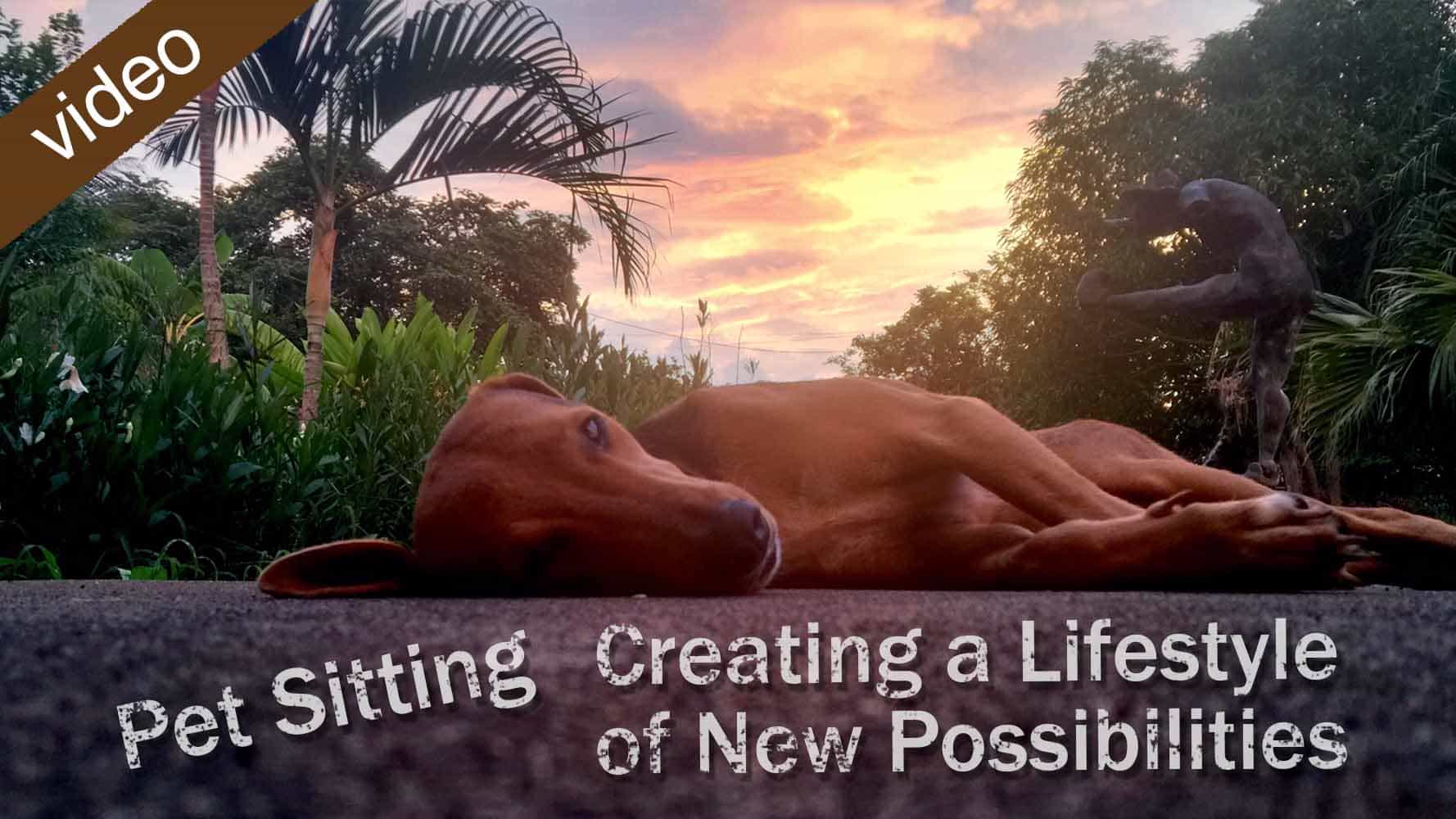 Petsitting: Creating A Lifestyle Of New Possibilities - Travel Life